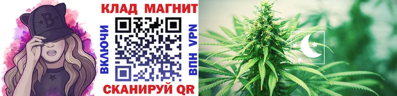Купить закладку Тюкалинск Бошки Шишки  COCAIN  Лсд 25  Alpha PVP  Мефедрон  ГАШИШ  блэк спрут ONION  Псилоцибиновые грибы 
