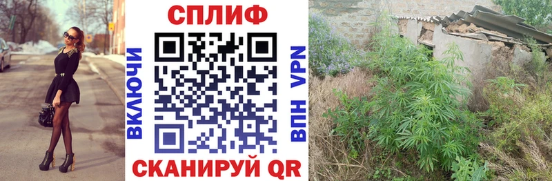 Шишки марихуана сатива  MEGA как войти  Тюкалинск 